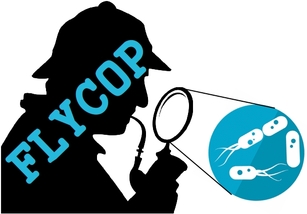 FLYCOP logo