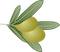 Olive Atlas logo
